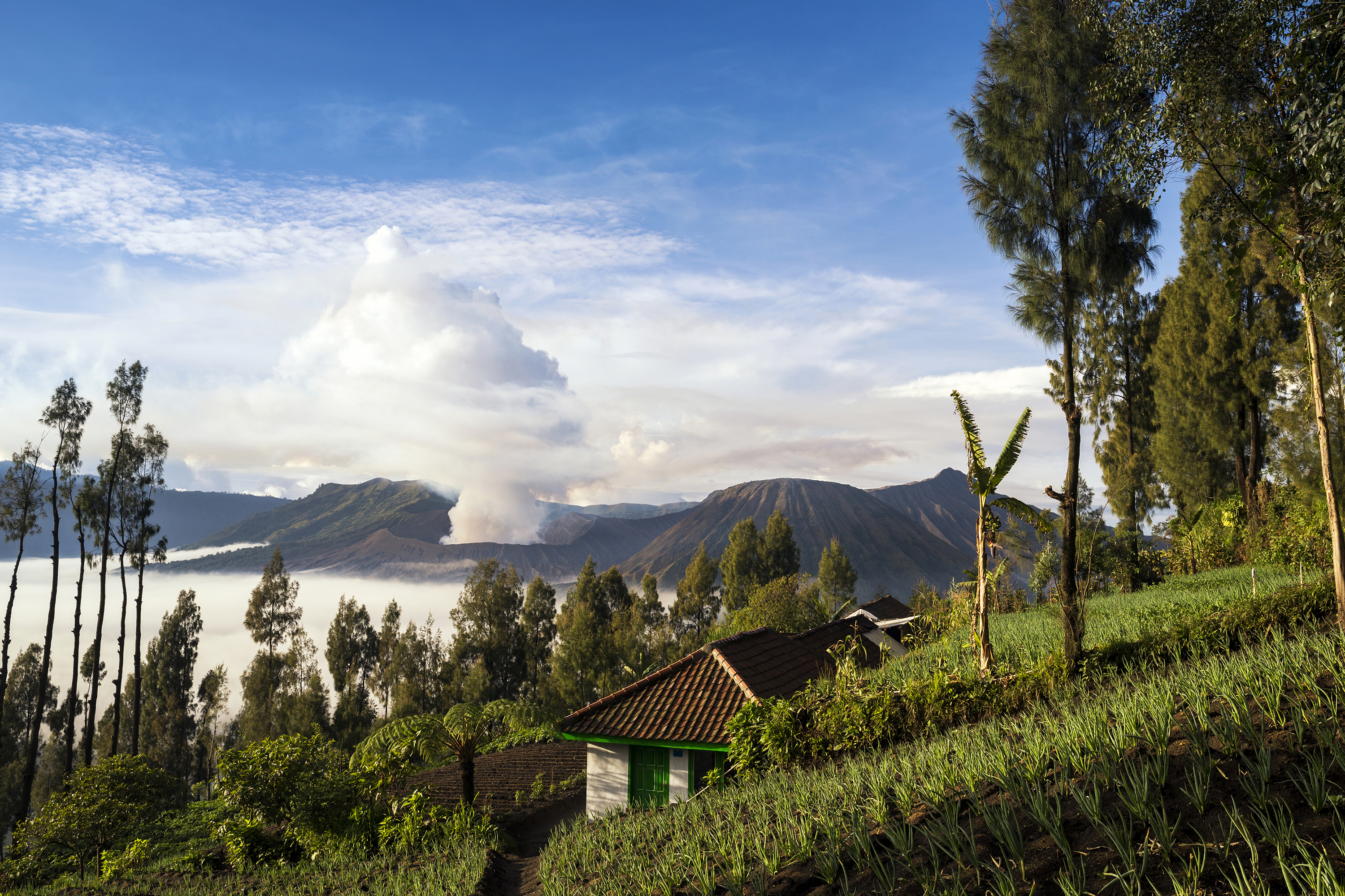 Mount Bromo på Java
