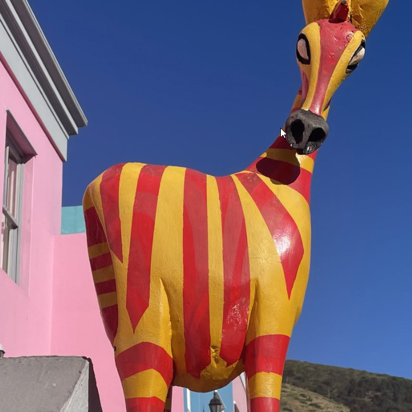 Cape Town Bo Kaap 12