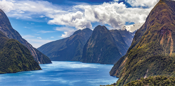 Milford Sound oplever vi på en dejlig sejltur med kig til sæler og andre dyr