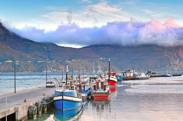 sydafrika - cape town_hout bay_01