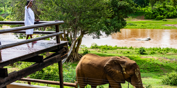 Nyati Safari Lodge 12