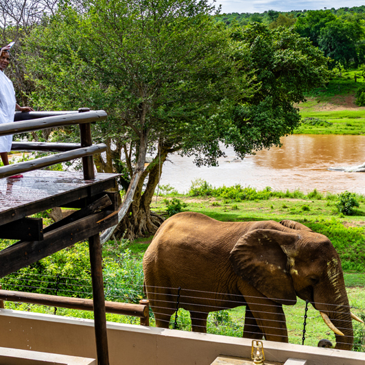 Nyati Safari Lodge 12