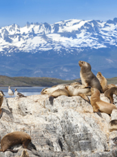 argentina - ushuaia_33