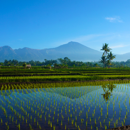 Rinjani-vulkanen
