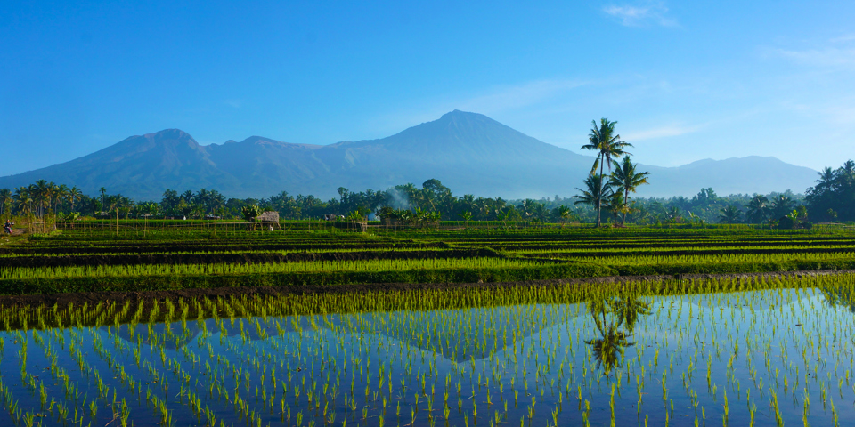 bali - lombok_vulkan mount rinjani_01