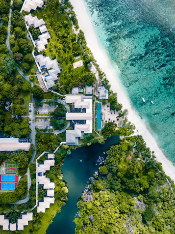 Bird Eye View