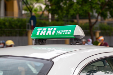 Vietnam Taxa 01