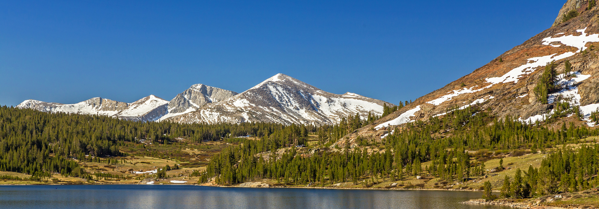 usa - yosemite tioga pass road