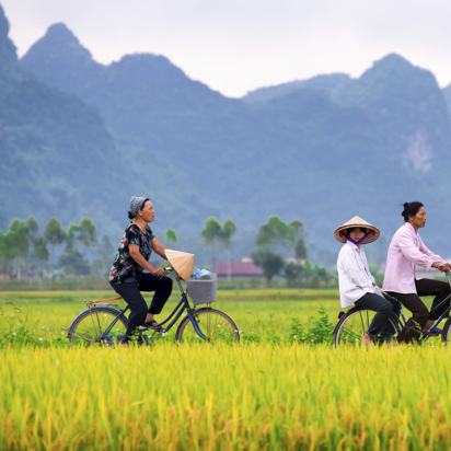 vietnam - vietnam_rismark_cykel_01
