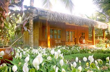 Bungalow Exterior White Flowers