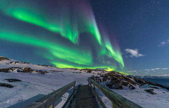 Der er gode muligheder for at opleve det magiske nordlys på hele rejsen.