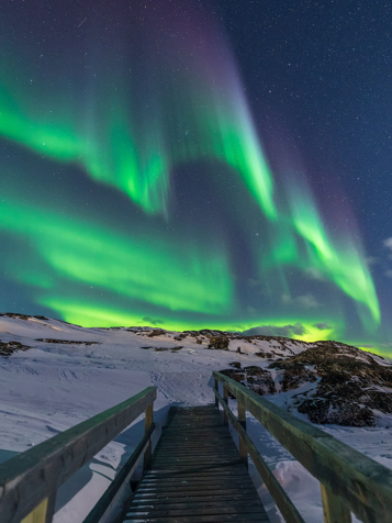Der er gode muligheder for at opleve det magiske nordlys på hele rejsen.