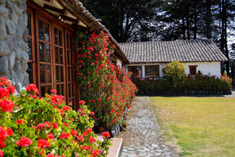 hacienda santa ana_have_01