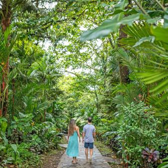 Pathway