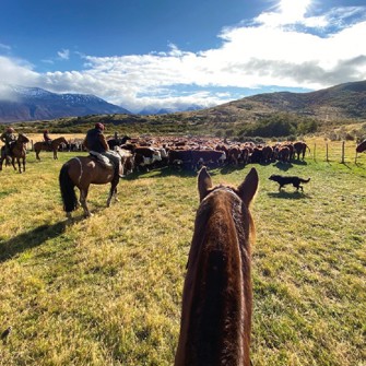 Nibepo Ranch9