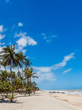colombia - palomino_strand_01