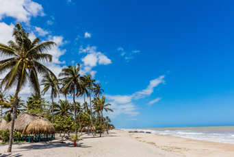 colombia - palomino_strand_01