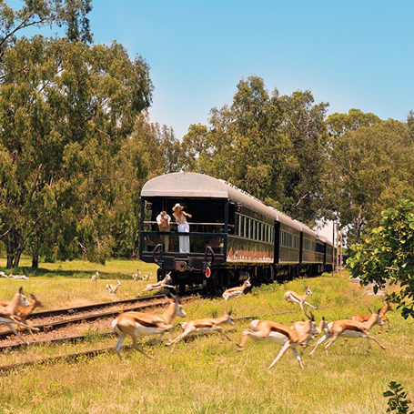sydafrika - rovos rail - Rovos rail_02