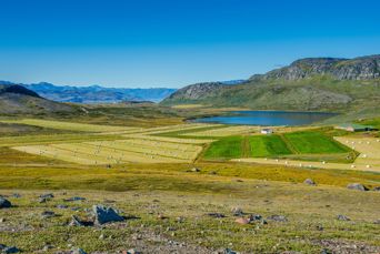 Igaliku Landbrugsmarker 1124507297