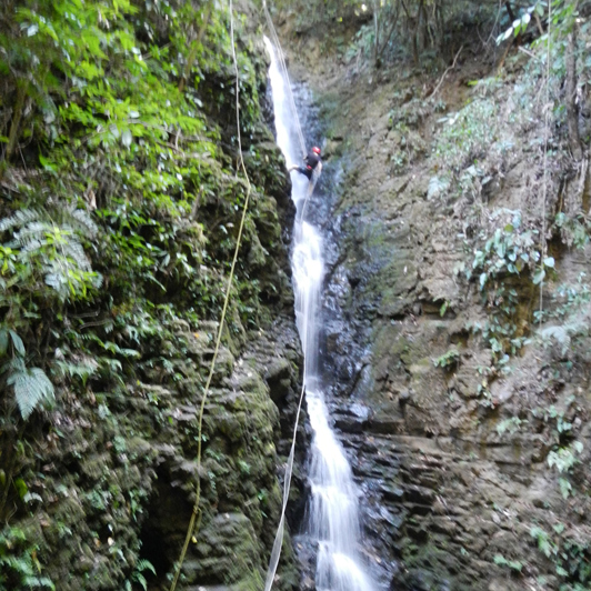 costa rica - monteverde_jungle_rapelling_01_hf