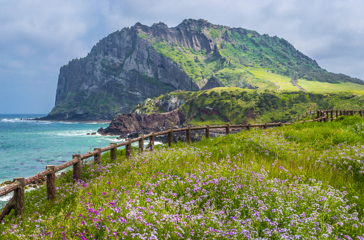 jeju island_01