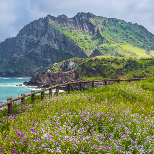 ...eller ved Jeju Island - med smuk natur.