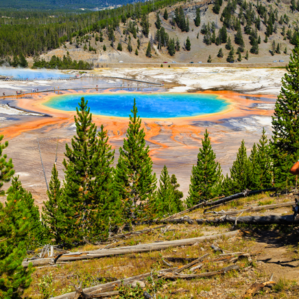 usa - yellowstone geyser