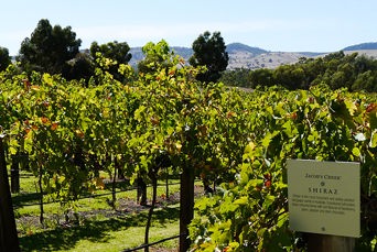 australien - jacobs creek_vinmark_01