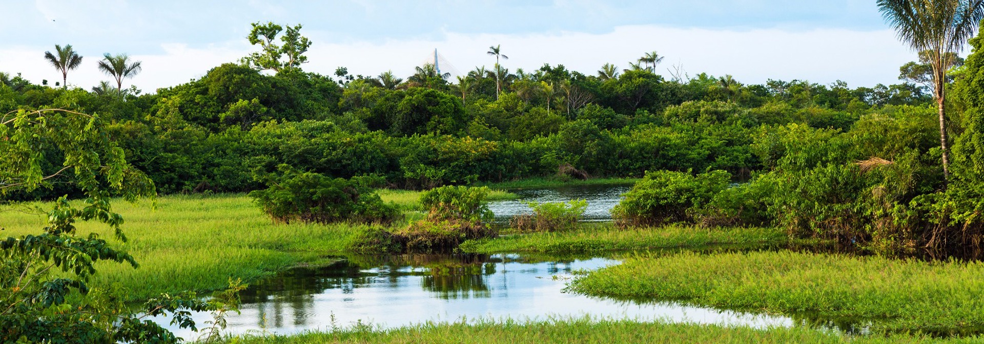 brasilien - amazonas_02