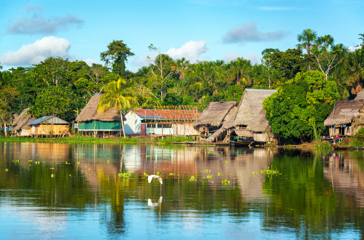 peru - amazonjunglen_05