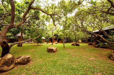 sri lanka - elephant reach_udendoersareal_01