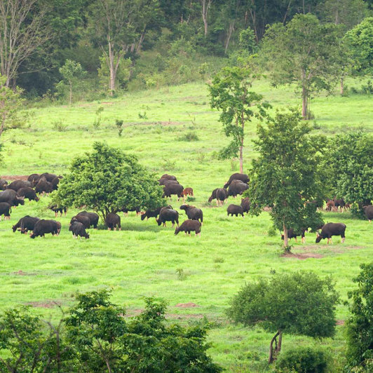 Kui Buri National Park Hua Hin