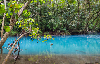 costa rica - rio celeste_tenorio volcano national park_02