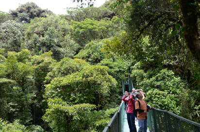 costa rica - monteverde_jungle_haengende_bro_06