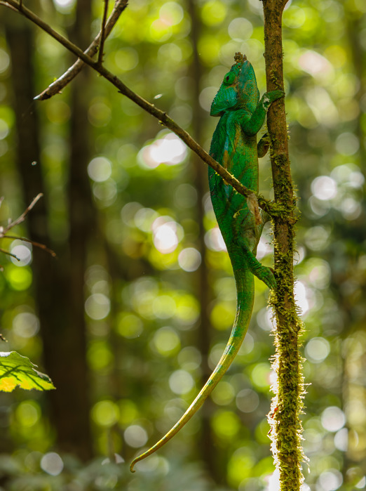 Madagaskar 15