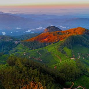 Vi rejser også til Munnar i tehøjlandet