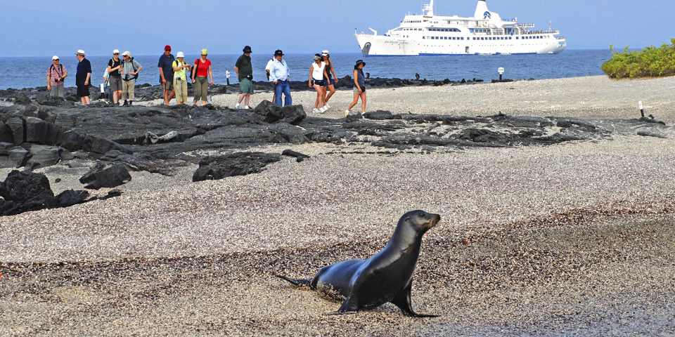 mv galapagos legend_skib_04_lysnet