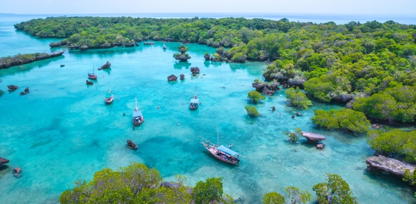 Zanzibar Prison Island Kyst