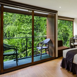 Manatee Amazon Explorer02