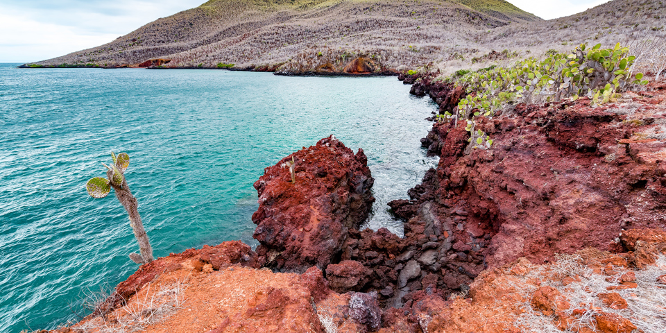 Galapagos_santiago_02