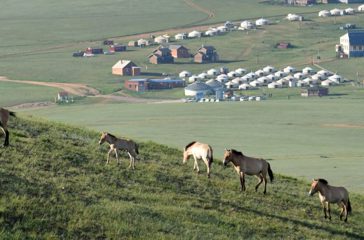 Khustai Overview