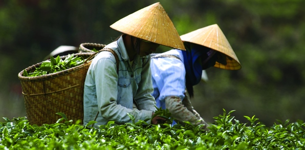 Vietnam - vietnam_befolkning_farmer_01