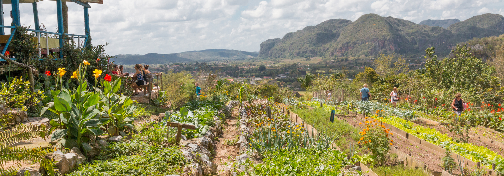 cuba - vinales_finca agroecologica_01