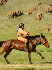 Mongoliet Rytter Hest