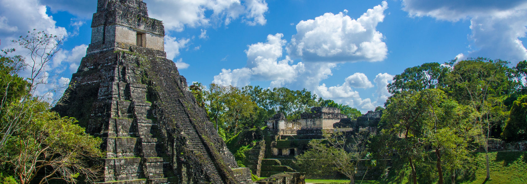 guetemala_tikal_pyramide_01