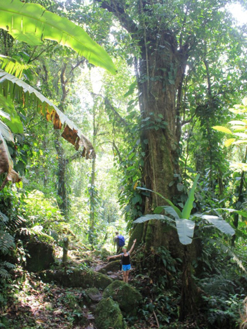 colombia - the lost city_05_hf