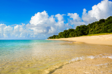 dansk vestindien - buck island_strand_03