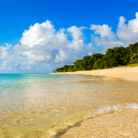 dansk vestindien - buck island_strand_03