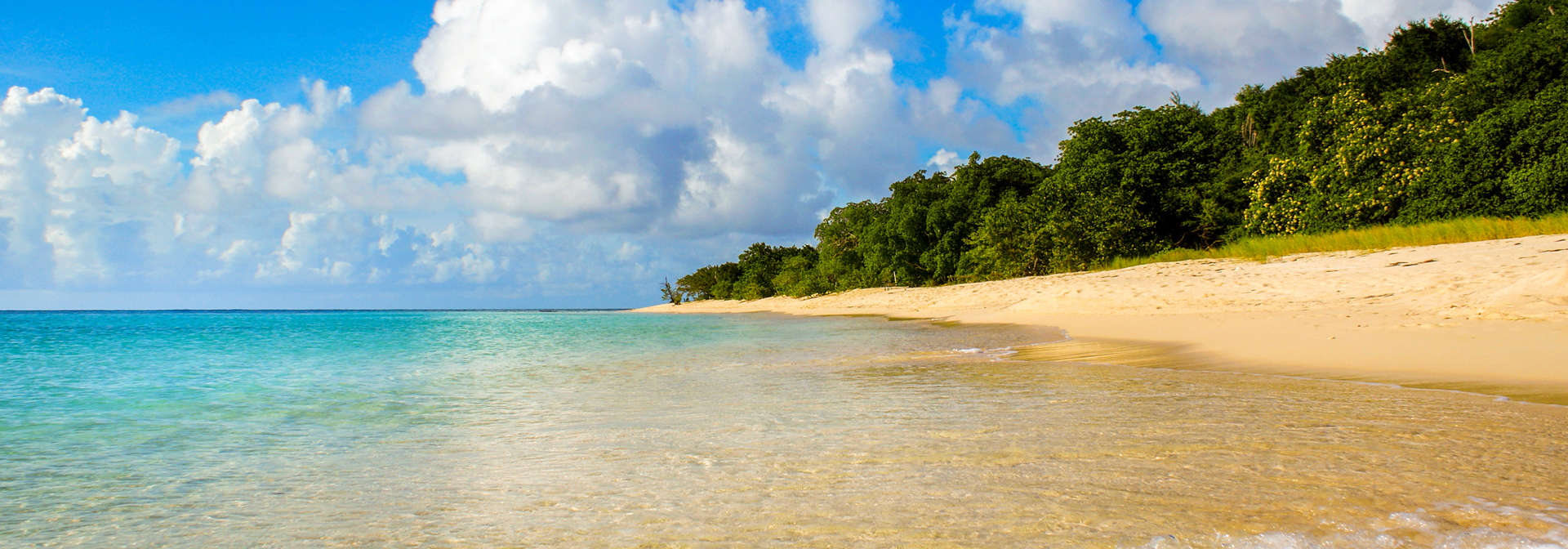 dansk vestindien - buck island_strand_03