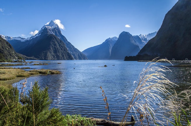 new zealand - milford sound_10